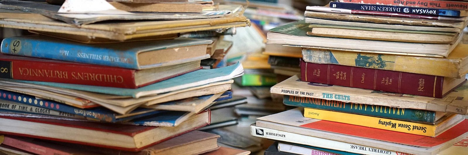 Calling NGo's School