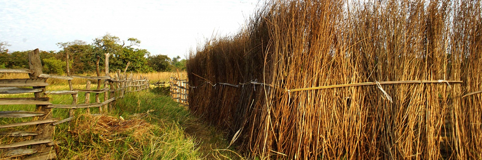 Sanyang Walking Tour