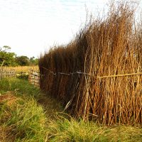 Sanyang Walking Tour