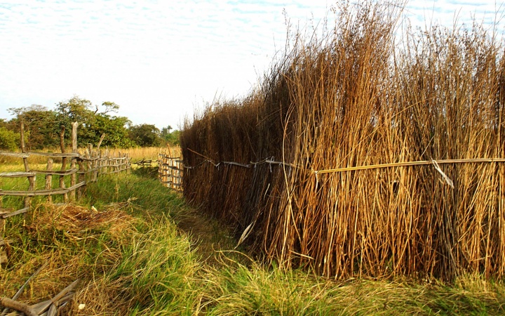 Sanyang Walking Tour