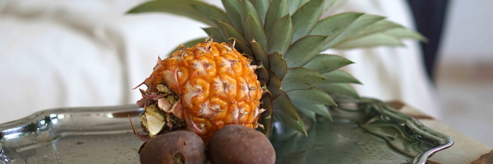 Pinapple From our Garden
